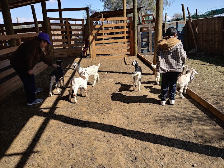 casino villa peldehue