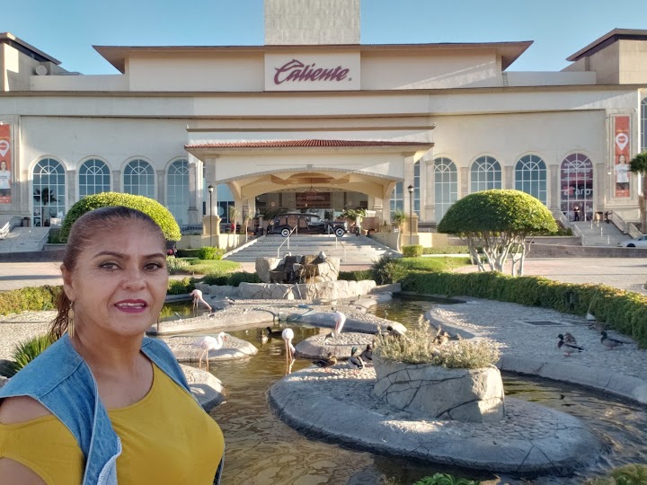 Caliente Casino